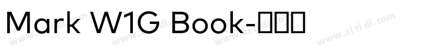 Mark W1G Book字体转换 Mark W1G Book字体转换